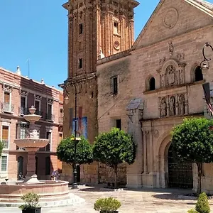 Grande Centrico Apartamento